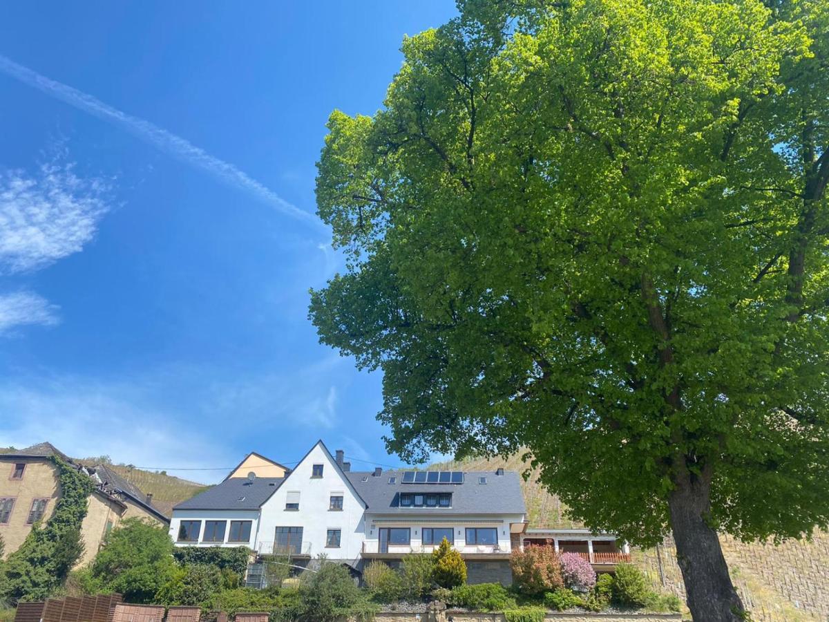 Wein Und Gastehaus Marlene Pohl Hotel Kinheim Exterior foto